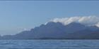 Hinchinbrook Island - QLD (PBH4 00 14977)